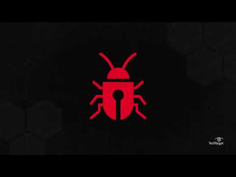 Youtube video: What is a Software Bug?